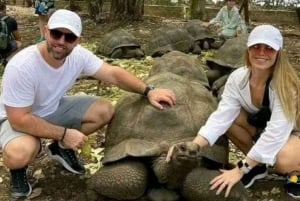 Zanzibar: Prison Island & Nakupenda Sandbank Tour with Lunch