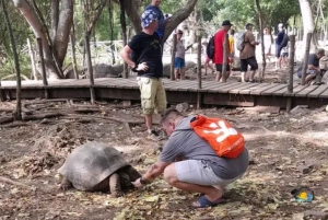 Zanzibar: Prison Island & Nakupenda Sandbank Tour with Lunch
