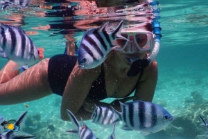 Zanzibar: Prison Island & Nakupenda Sandbank Tour with Lunch