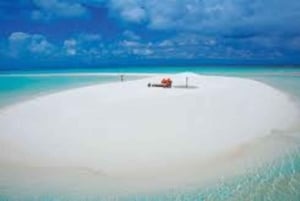 Zanzibar: Tur til Prison Island og Nakupenda Sandbank med lunsj