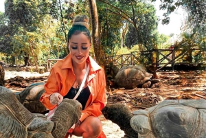 Zanzibar: Tur till Fängelseön och Nakupenda Sandbank med lunch