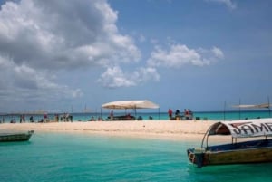 Zanzibar: Prison Island og Nakupenda Sandbank-tur