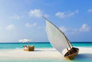 Zanzibar: Prison Island og Nakupenda Sandbank-tur