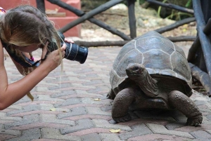 Sansibar: Gefängnisinsel, Nakupenda & Stone Town mit Mittagessen