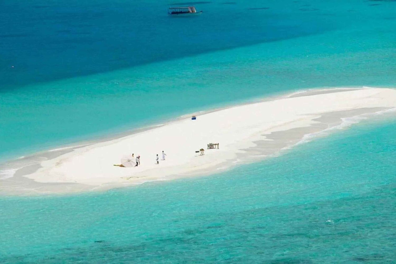 Zanzibar; Prison Island, Nakupenda, StoneTown Tour med BBQ