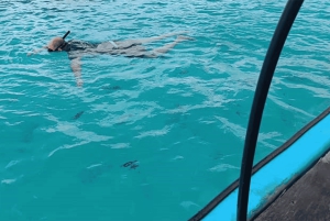 Zanzibar; Prison Island, Nakupenda, StoneTown Tour med BBQ