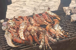 Zanzibar; Prison Island, Nakupenda, StoneTown Tour med BBQ