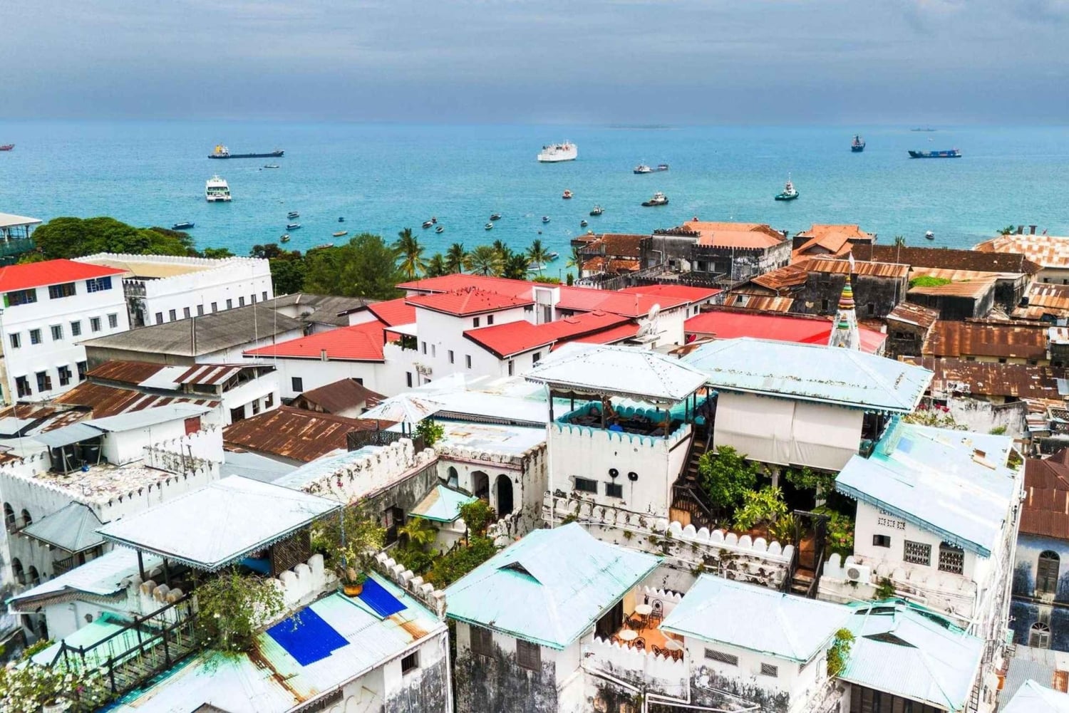 Zanzibar: Prison Island, Nakupenda con BBQ e tour di Stone Town