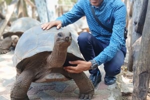 Zanzibar: Prison Island Private Half-Day Tour with Tortoises