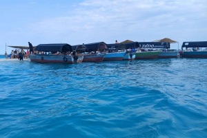 Zanzibar: Prison Island Private Half-Day Tour with Tortoises