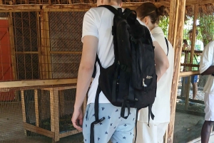 Zanzibar: Prison Island Private Half-Day Tour with Tortoises