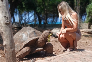 Zanzibar: Prison Island Private Half-Day Tour with Tortoises