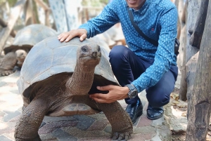 Zanzibar: Prison Island Private Half-Day Tour with Tortoises