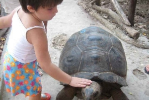 Zanzibar: Privat tur till Fängelseön