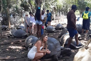 Zanzibar: Privat tur till Fängelseön