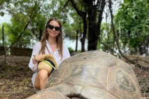 Zanzibar: Privat tur till Fängelseön