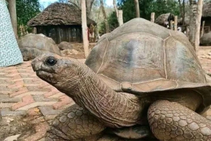 Zanzibar: Privat tur till Fängelseön