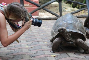 Zanzibar: Prison Island & Nakupenda Sandbank Tour med frokost