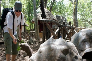 ZANZIBAR: Prison Island, Salaam Cave & The Rock Restaurant