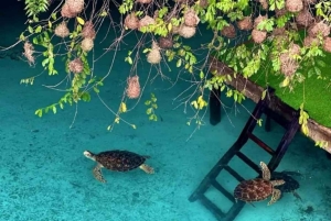 ZANZIBAR: Vankilasaari, Salaam-luola ja The Rock -ravintola