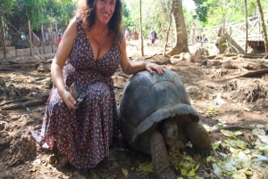 ZANZIBAR: Vankilasaari, Salaam-luola ja The Rock -ravintola