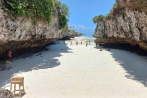 Zanzibar: Vankisaaret, merikilpikonnien suojelualue + Mtende Beach