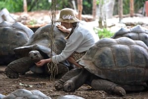 Zanzíbar: isla prisión, santuario de tortugas marinas + playa de Mtende