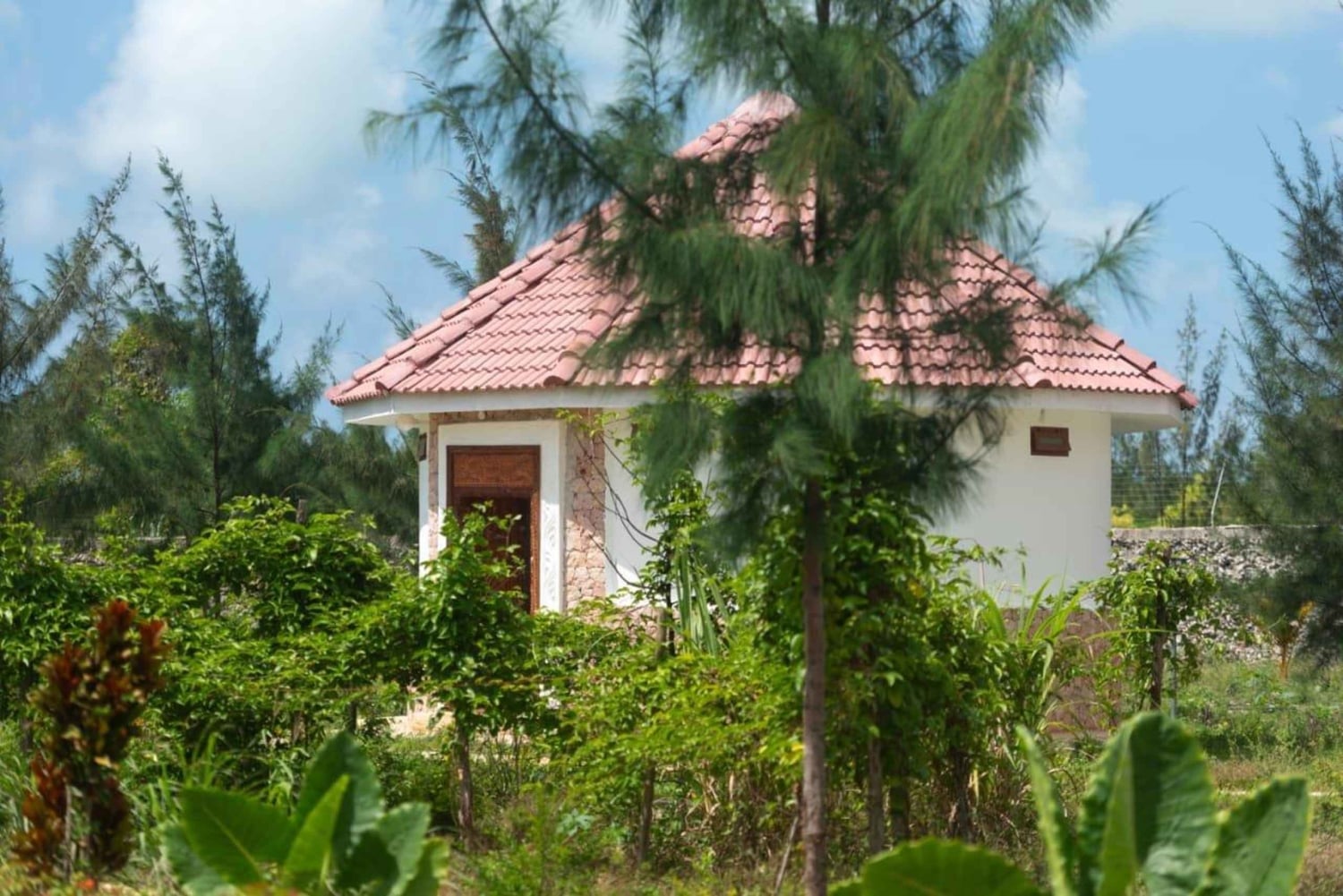 ЗАНЗИБАР: остров Призон, купание в секретной пещере и лес Джозани