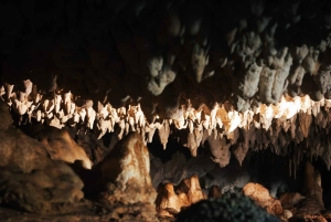 ЗАНЗИБАР: остров Призон, купание в секретной пещере и лес Джозани