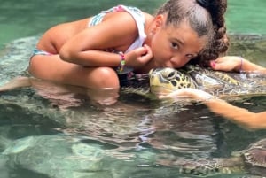 Zanzibar: Prison Island, kryddergård og svømming med skilpadder