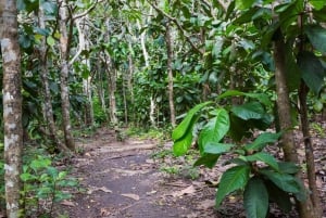Zanzibar: Prison Island, Spice Farm Tour & Jozani with Lunch