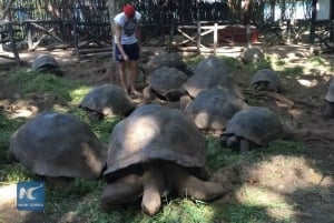 Zanzibar: Prison Island, Spice Farm Tour & Jozani with Lunch