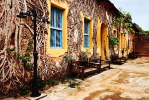 Zanzibar: Prison Island, Spice Farm Tour & Jozani with Lunch