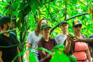 Zanzibar: Fengselsøya, besøk på krydderfarm og svømming med skilpadder