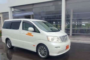 Zanzibar: Fengselsøya, besøk på krydderfarm og svømming med skilpadder