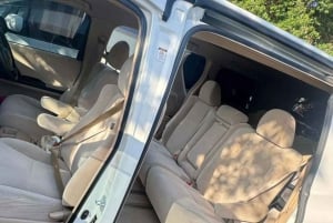 Zanzibar: Fengselsøya, besøk på krydderfarm og svømming med skilpadder