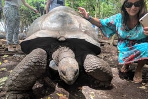 Zanzibar:Mnemba Island Full Day, Live Aquarium Turtle House