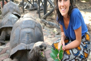 ZANZIBAR: Fängelseön, Stone Town och den tidigare slavmarknaden