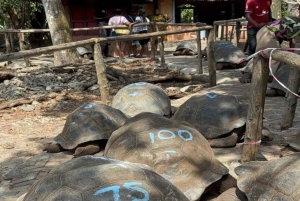 ZANZIBAR: Fängelseön, Stone Town och den tidigare slavmarknaden