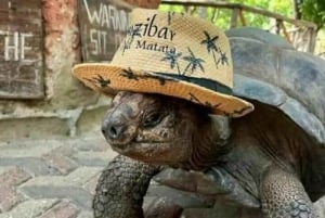 Занзибар: Тюремный остров, Каменный город и Накупенда с обедом