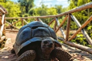 Занзибар: Тюремный остров, Каменный город и Накупенда с обедом