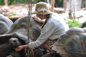 Zanzibar: privétour naar Prison Island en Stone Town + ophaalservice