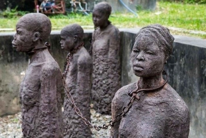 Zanzibar: privétour naar Prison Island en Stone Town + ophaalservice