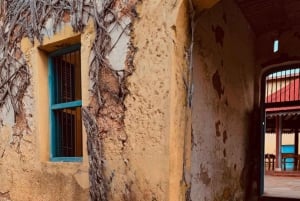 Zanzibar: privétour naar Prison Island en Stone Town + ophaalservice