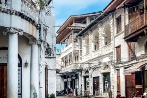 Zanzibar: privétour naar Prison Island en Stone Town + ophaalservice