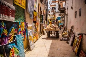 Zanzibar: privétour naar Prison Island en Stone Town + ophaalservice