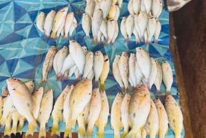 Zanzibar: privétour naar Prison Island en Stone Town + ophaalservice