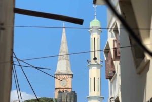 Zanzibar: privétour naar Prison Island en Stone Town + ophaalservice