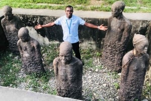 Zanzibar: privétour naar Prison Island en Stone Town + ophaalservice