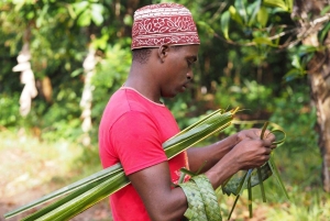 Zanzibar: Fengselsøya, Stone Town og kryddertur med lunsj
